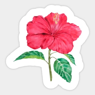 one red hibiscus watercolor painting Sticker